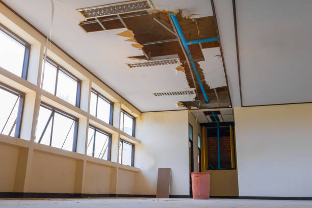 Best Water damage restoration company  in Verona Walk, FL