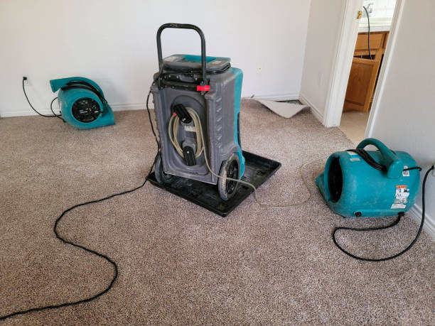  Verona Walk, FL Water damage restoration Pros