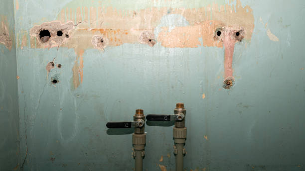 Local water damage restoration in Verona Walk, FL