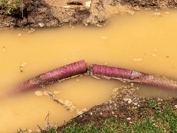 Best Carpet water damage restoration  in Verona Walk, FL