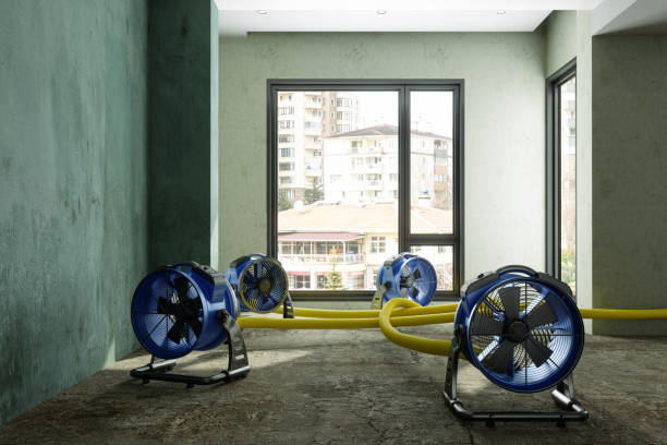 Best Professional water damage repair  in Verona Walk, FL