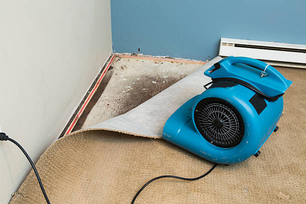 Best Basement water damage restoration  in Verona Walk, FL