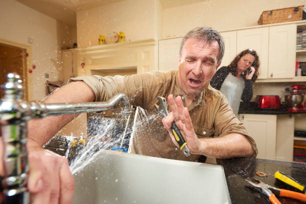 Best Basement water damage restoration  in Verona Walk, FL